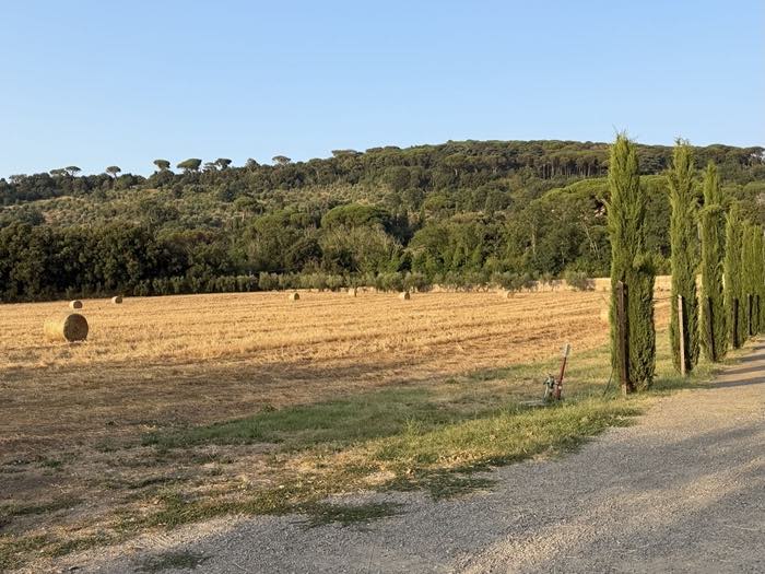 La campagna romana con i pini e i cipressi